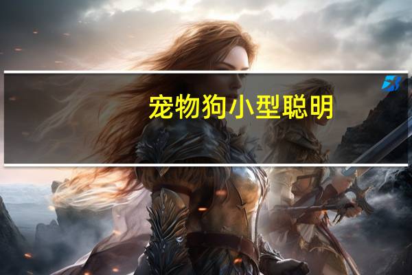 宠物狗小型聪明
