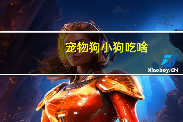 宠物狗小狗吃啥