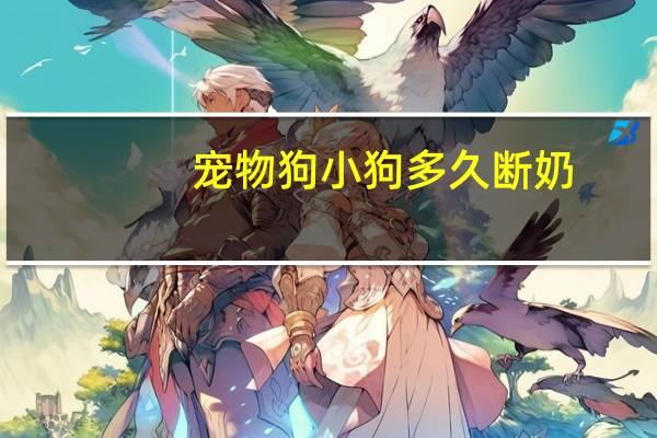 宠物狗小狗多久断奶