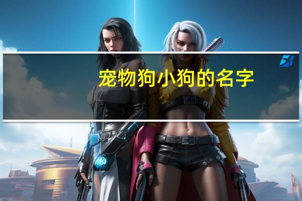 宠物狗小狗的名字