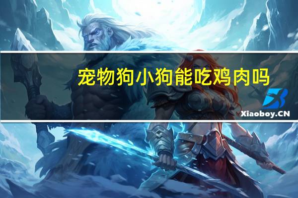 宠物狗小狗能吃鸡肉吗
