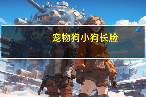 宠物狗小狗长脸