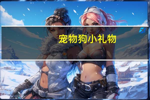 宠物狗小礼物