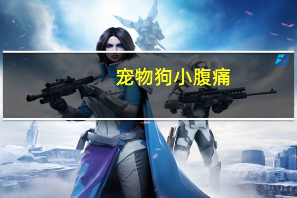 宠物狗小腹痛