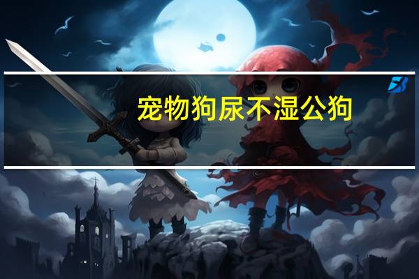 宠物狗尿不湿公狗