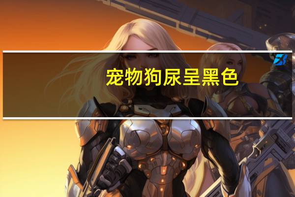宠物狗尿呈黑色