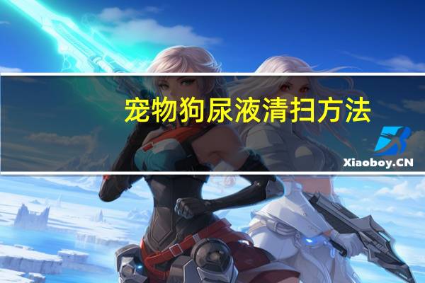 宠物狗尿液清扫方法