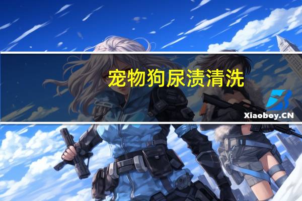 宠物狗尿渍清洗