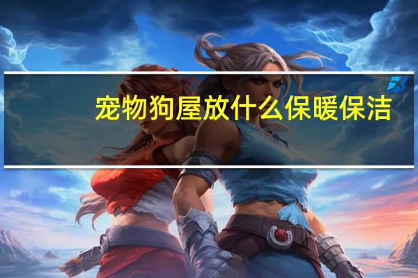 宠物狗屋放什么保暖保洁