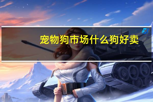 宠物狗市场什么狗好卖