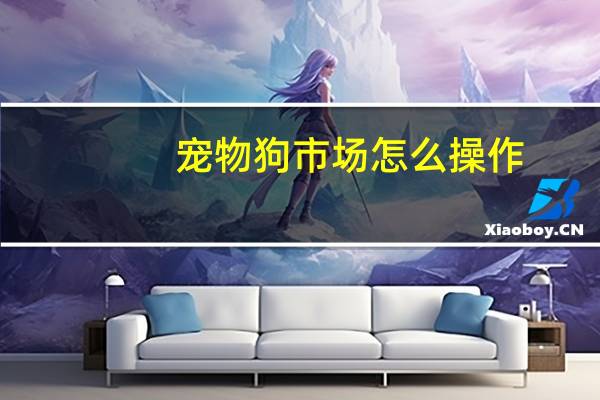 宠物狗市场怎么操作