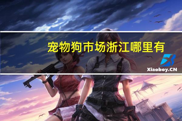 宠物狗市场浙江哪里有