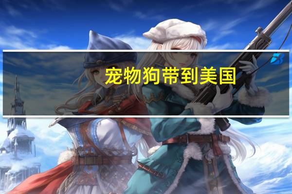 宠物狗带到美国