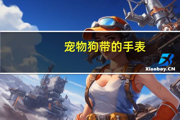 宠物狗带的手表