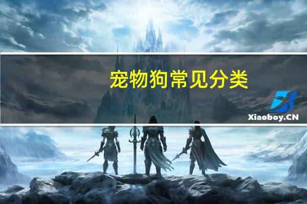 宠物狗常见分类