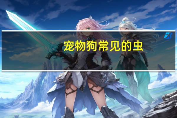 宠物狗常见的虫