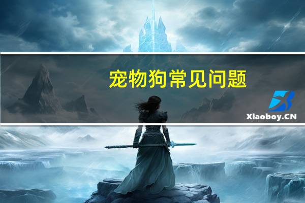 宠物狗常见问题