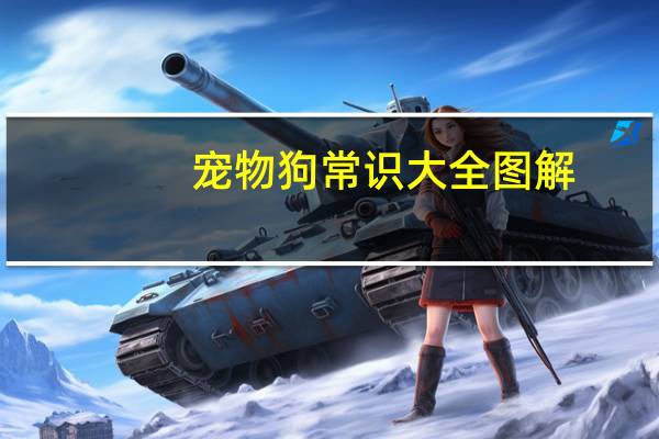 宠物狗常识大全图解