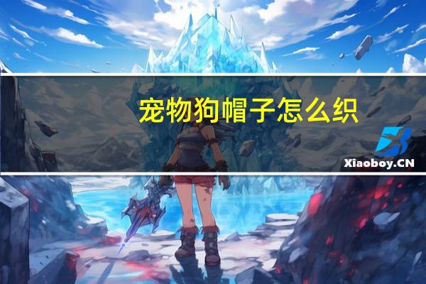 宠物狗帽子怎么织