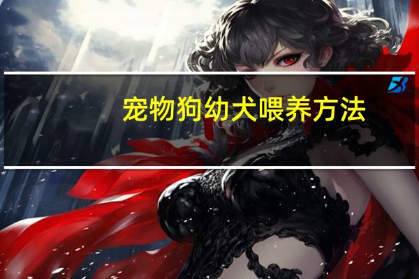宠物狗幼犬喂养方法