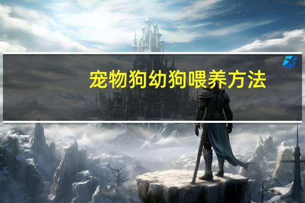 宠物狗幼狗喂养方法