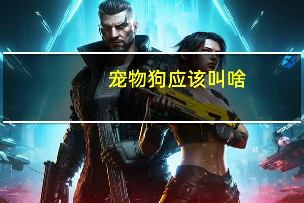 宠物狗应该叫啥