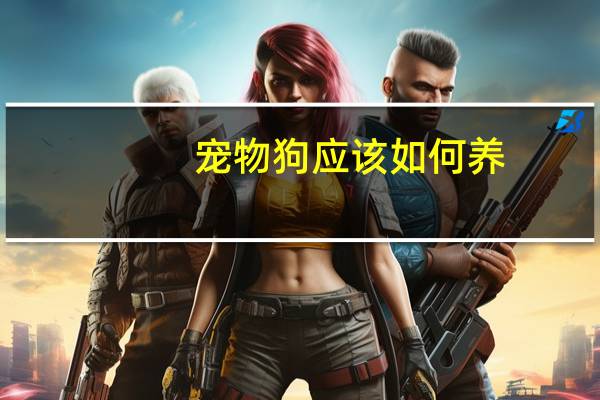 宠物狗应该如何养