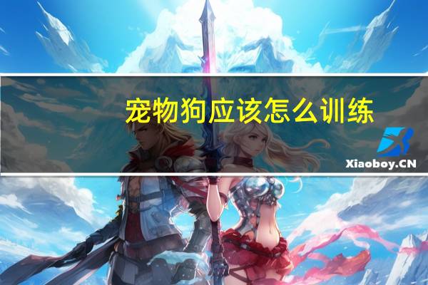 宠物狗应该怎么训练