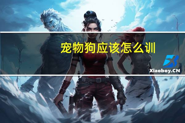 宠物狗应该怎么训