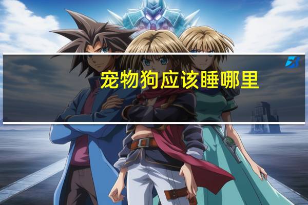 宠物狗应该睡哪里