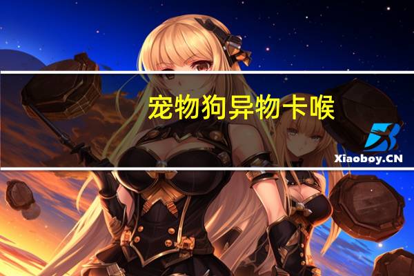 宠物狗异物卡喉