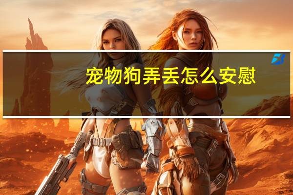 宠物狗弄丢怎么安慰