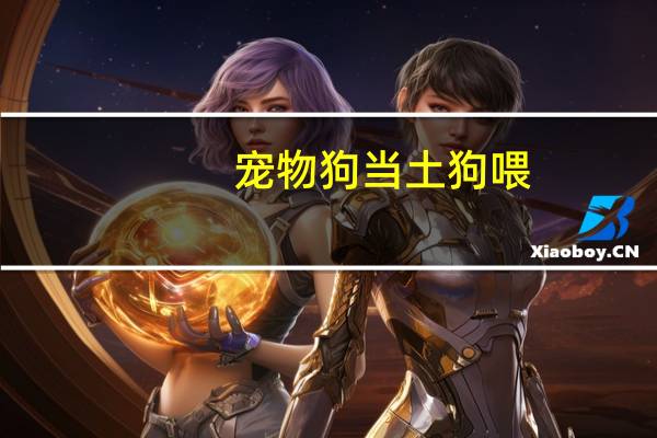 宠物狗当土狗喂