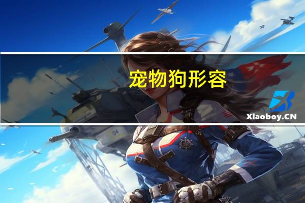 宠物狗形容
