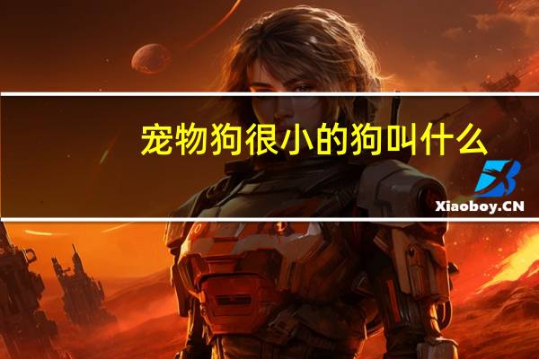 宠物狗很小的狗叫什么