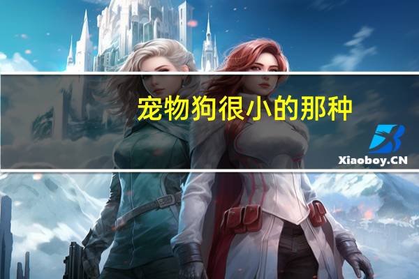 宠物狗很小的那种