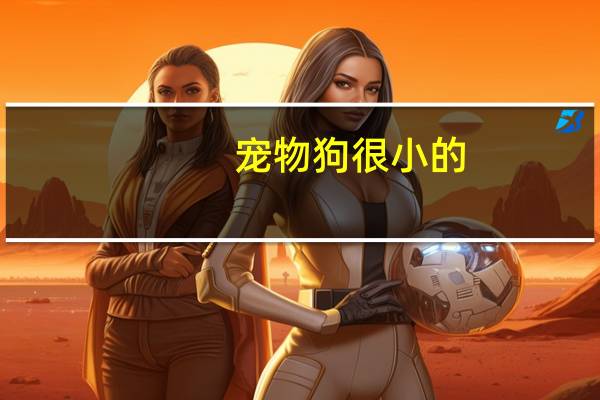 宠物狗很小的