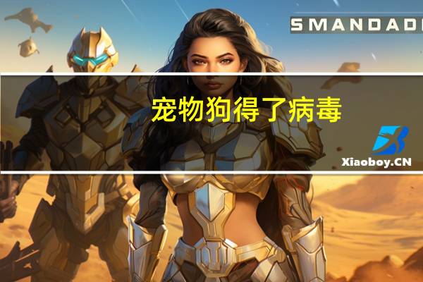 宠物狗得了病毒