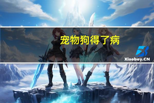 宠物狗得了病