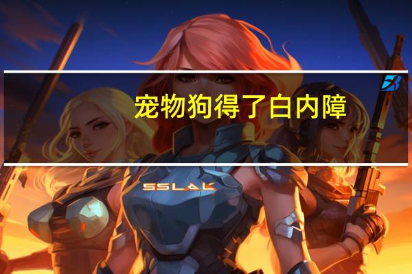 宠物狗得了白内障