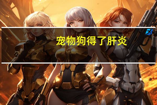 宠物狗得了肝炎