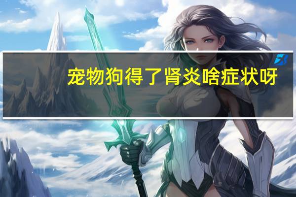 宠物狗得了肾炎啥症状呀