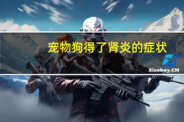 宠物狗得了肾炎的症状