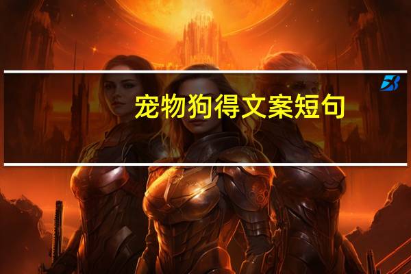 宠物狗得文案短句