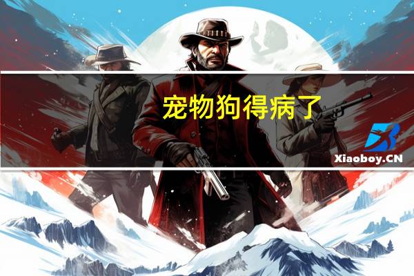 宠物狗得病了