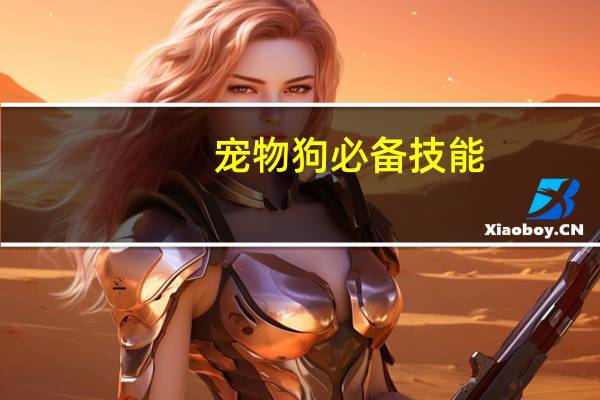 宠物狗必备技能