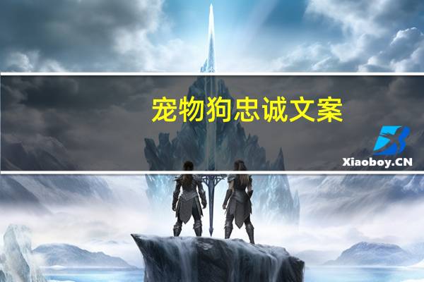 宠物狗忠诚文案