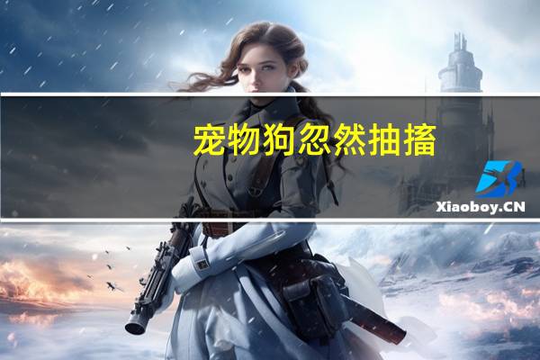 宠物狗忽然抽搐