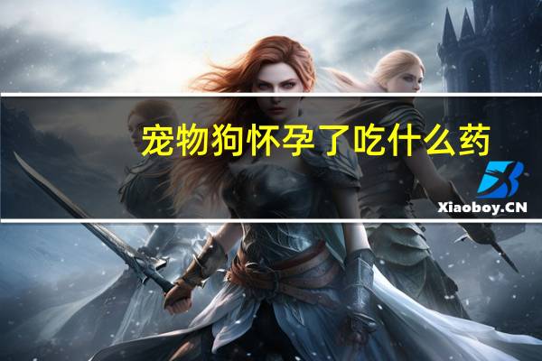 宠物狗怀孕了吃什么药