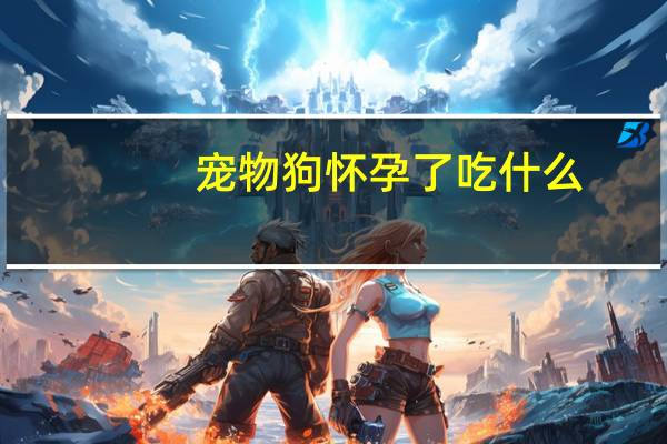 宠物狗怀孕了吃什么